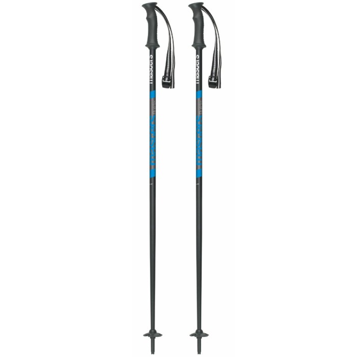 Bețe de schi MASTERS Builder 115cm black-blue
