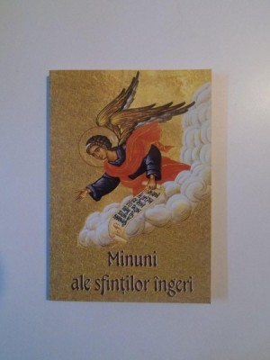 MINUNI ALE SFINTILOR INGERI , 2002 foto