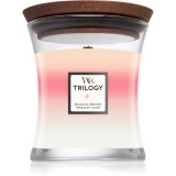 Woodwick Trilogy Blooming Orchard lum&acirc;nare parfumată 275 g