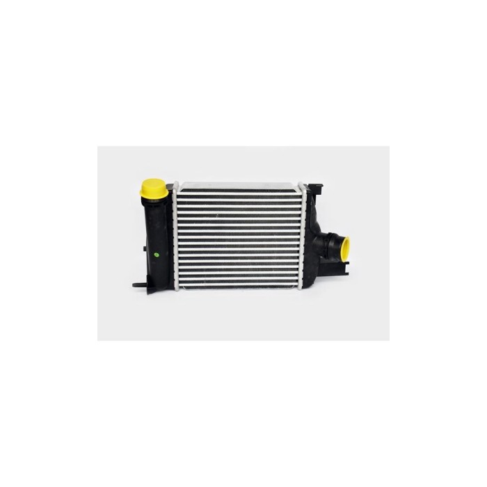 Radiator Intercooler 540651 TH.03.022