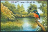 Jersey 2001 - Păsări de apa, colita neuzata