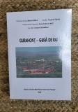 Gurahont - Gura de Rai, Marian &amp; Eugenia Rizea, Dorel-Craciun Mot, Editura Episcopiei Slatinei, Istorie, 2020, 248 Pagini