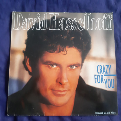 David Hasselhoff - Crazy For You _ vinyl,LP _ White Rec., EU, 1990 foto