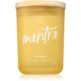 DW Home Zen Mantra lum&acirc;nare parfumată 213 g