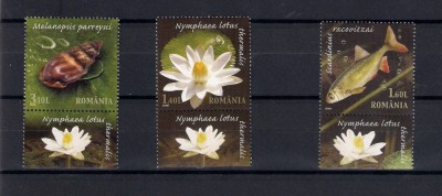 ROMANIA 2008 - REZERVATIA PARAUL PETEA - TABS 2 - LP 1822 foto