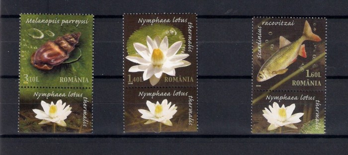 ROMANIA 2008 - REZERVATIA PARAUL PETEA - TABS 2 - LP 1822