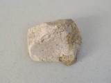Os de dinozaur Cretacic