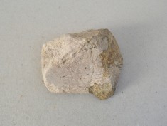 Os de dinozaur Cretacic