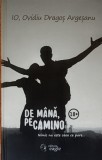 De mana pe Camino/ Ovidiu Dragos Argesanu
