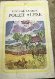 LITR21 IUH George Cosbuc - Poezii