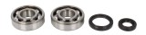 Cumpara ieftin Lagare cu arbore cotit set cu garnituri pentru SUZUKI RM 125 1989-2008