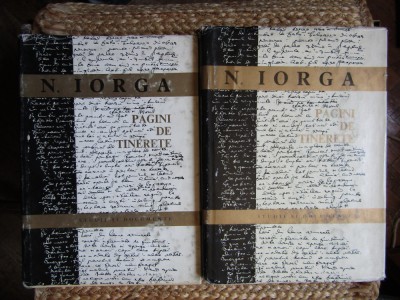 Nicolae Iorga - Pagini de tinerete 2 volume (1968, editie cartonata) foto