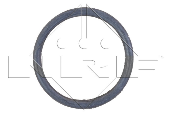NRF 58366 EASY FIT Radiator, racire motor