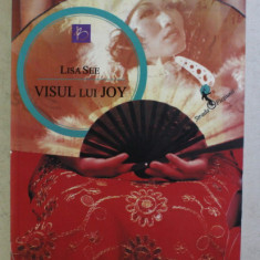 VISUL LUI JOY , roman de LISA SEE , 2012