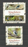 GAMBIA 2015 FAUNA PASARI KINGFISHER