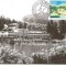 (No1) ilustrata maxima-SOVATA-Lacul Ursu