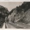 1942 - Vadu Crișului, pestera Zichy (jud. Bihor)