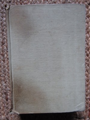 Agonie si extaz - Irving Stone foto