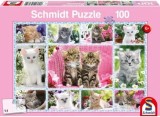 Puzzle Schmidt: Pisoiasi, 100 piese