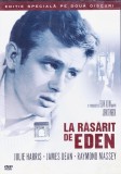 DVD Film de colectie: La rasarit de Eden ( James Dean ; Ed. Speciala 2 DVD - vezi descriere )