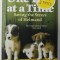 ONE DAY AT A TIME , SAVING THE STRAYS OF HELMAND by PEN FARTHING , 2010