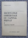 Societatile comerciale cu capital privat - indrumar practic 1990 - Theodor Gahiu