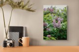 Tablou Canvas, "Flori de liliac &icirc;n grădina primăverii", Liliac, Frunze, Verde, Delicat, Tufe, Primăvară, Roz, Floricele., 26 x 39 cm, CMCLASS