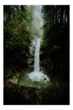 Tablou Canvas Cascada Sălbatică &icirc;n Ad&acirc;ncuri de Pădure, 26 x 39 cm, CMCLASS