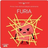 Cumpara ieftin Prima mea carticica despre sentimente. Furia/Nadine Brun-Cosme