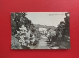 CARTE POSTALA - RPR - GOVORA - VEDERE DIN PARC, Circulata, Fotografie