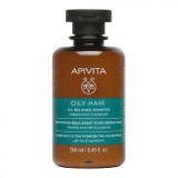 Sampon pentru par gras, 250 ml, Apivita