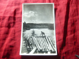 Ilustrata - Fotografie Cu pluta pe Bistrita , interbelica