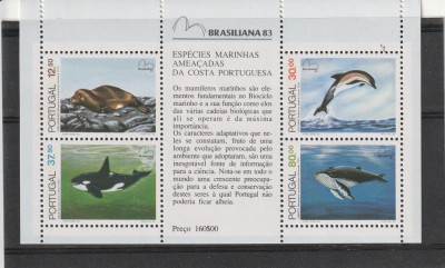 Fauna delfini ,expo ,Portugalia. foto