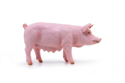 PAPO FIGURINA SCROAFA foto