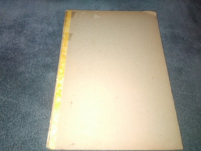 VIRGIL CIOFLEC - LUCHIAN CU 60 ILUSTRATII 1924 foto