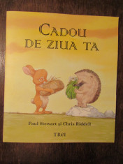 Cadou de ziua ta -PAUL STEWART, CHRISS RIDDELL foto