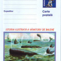 Romania - Intreg postal CP necirculat 2001- Istoria ilust. a vanatorii de balene