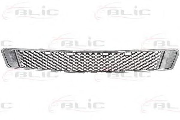 Grila ventilatie, bara protectie MERCEDES C-CLASS (W204) (2007 - 2014) BLIC 6502-07-3518910P
