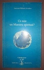 OMRAAM MIKHAEL AIVANHOV - CE ESTE UN MAESTRU SPIRITUAL? foto