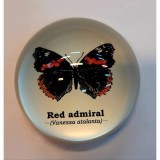 GIFT REPUBLIC RED ADMIRAL PAPER WEIGHT