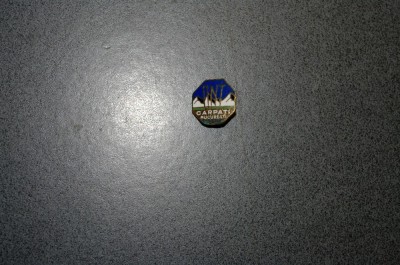 Insigna - ONT Carpati foto