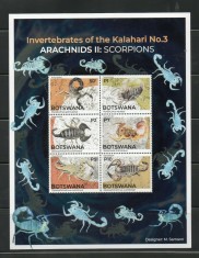 BOTSWANA 2021 FAUNA INSECTE SCORPIONI foto