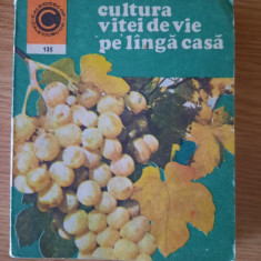 CULTURA VITEI DE VIE PE LANGA CASA – Dr. Ing. AVRAM D. TUDOSIE (1981)