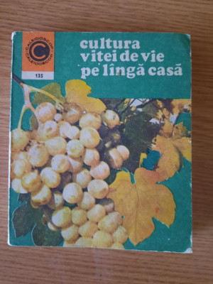 CULTURA VITEI DE VIE PE LANGA CASA &amp;ndash; Dr. Ing. AVRAM D. TUDOSIE (1981) foto