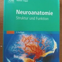 Neuroanatomie. Struktur und Funktion- Martin Trepel