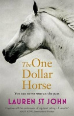 One Dollar Horse, Paperback/Lauren St John foto