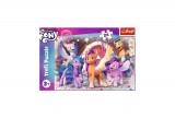 Puzzle 24 piese Maxi &bdquo;My Little Pony - Bucuria poneilor&rdquo;