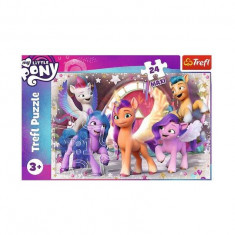 Puzzle 24 piese Maxi „My Little Pony - Bucuria poneilor”