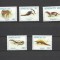 SENEGAL 1994 FAUNA ANIMALE SALBATICE