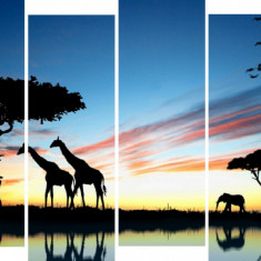 Tablou multicanvas 4 piese Girafe 1, 120 x 95 cm
